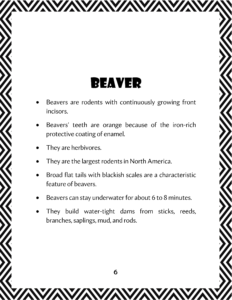 beaver text