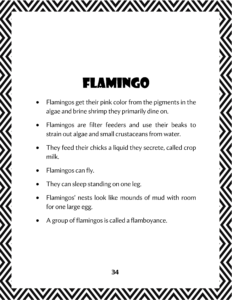 flamingo text