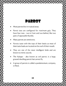 parrot text